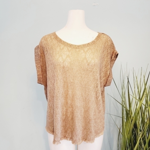 zara trafaluc Tops - ZARA TRAFALUC COLLECTION GOLD METALLIC TOP